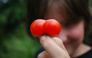 Oergezond-alt-orthorexia