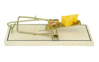 oergezond-gezondheidsdeskundige