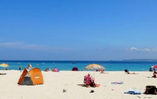 Alt-Oergezond-reuma-genezen