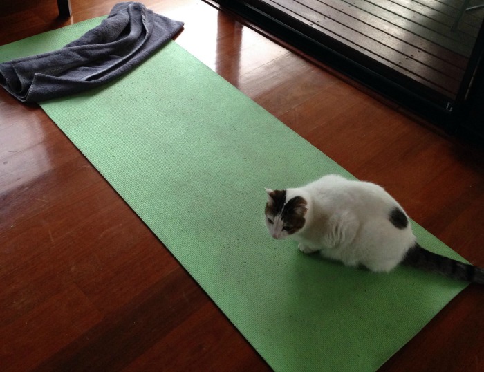 Oergezond gebrek aan discipline